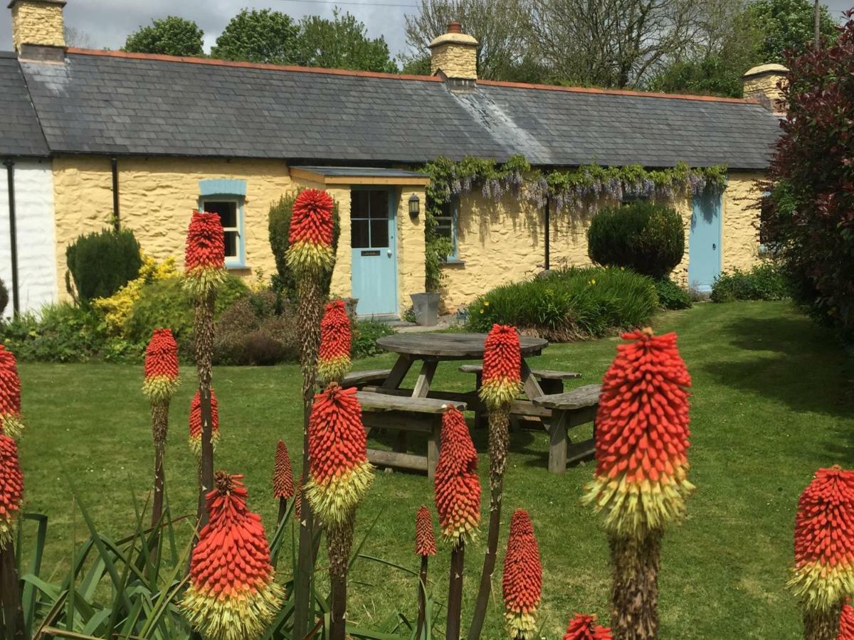 Charming Welsh Cottage Johnston Kültér fotó